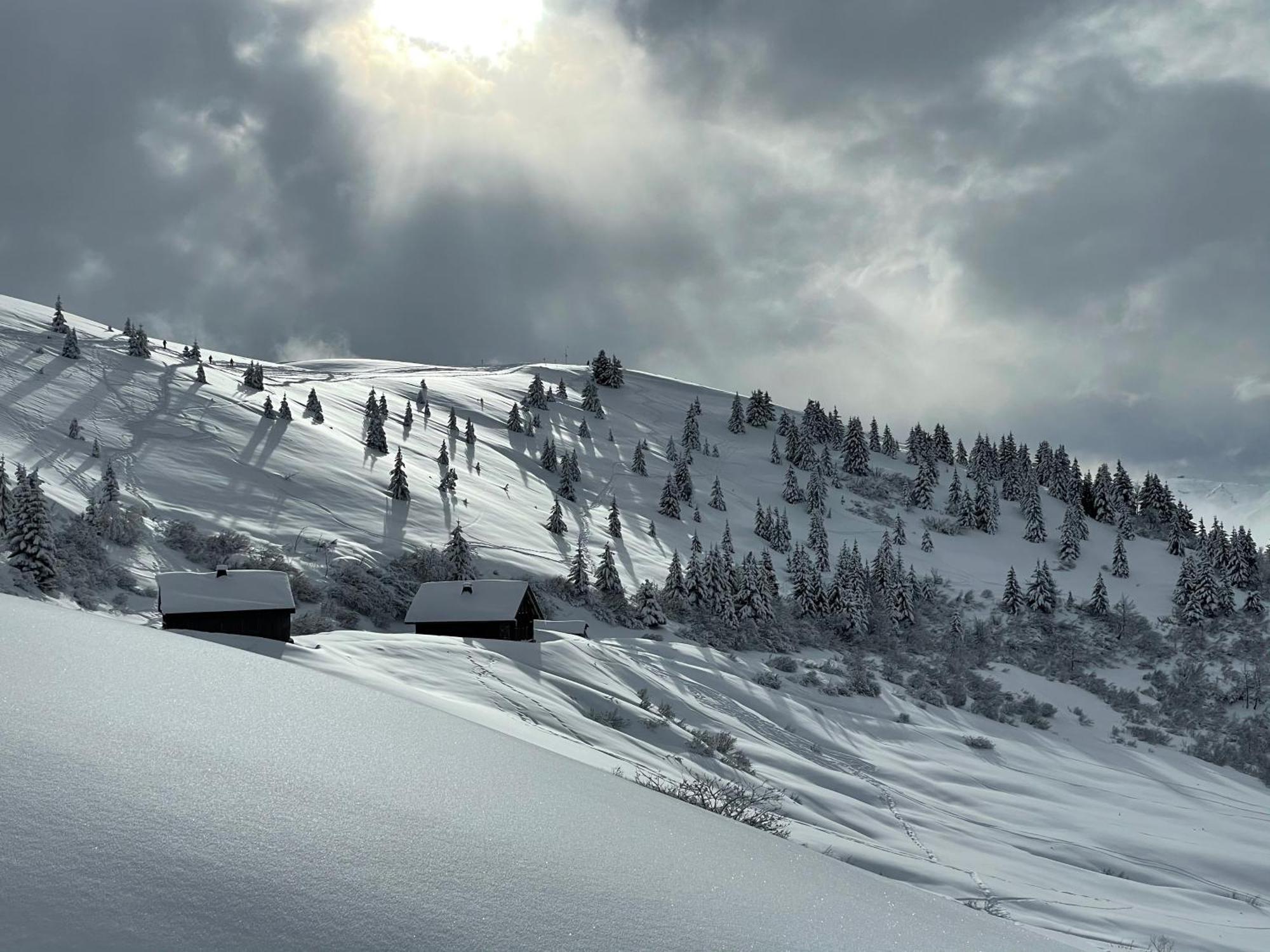 Chalet*** Au Pied D'Une Prairie Face A La Montagne Sixt-Fer-a-Cheval Exterior photo